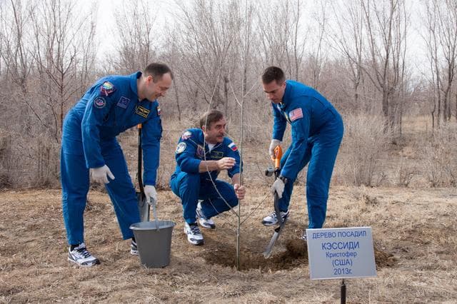 NASA image: jsc2013e018007