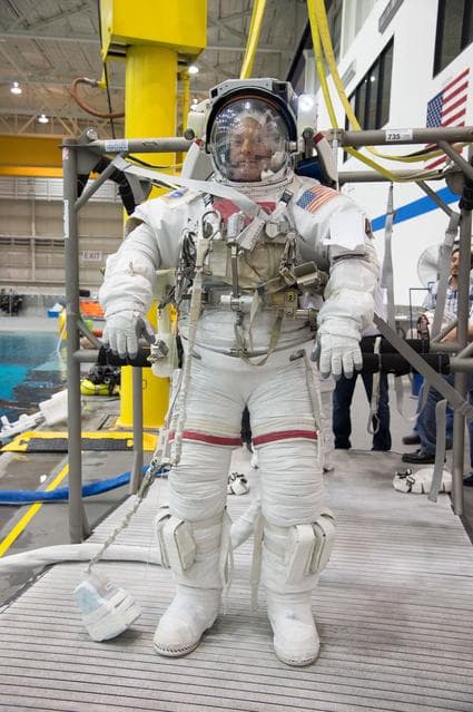 NASA image: jsc2013e024881