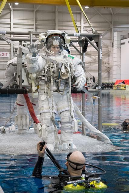 NASA image: jsc2013e030841
