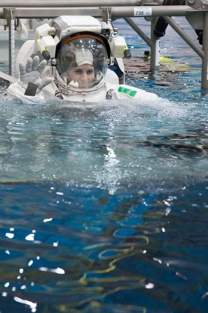 NASA image: jsc2013e030843
