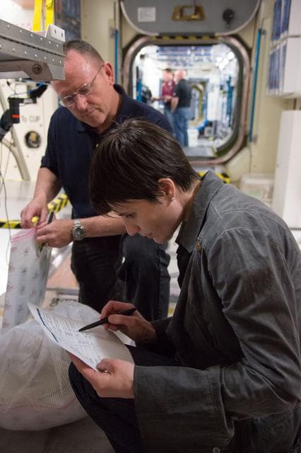 NASA image: jsc2013e031252