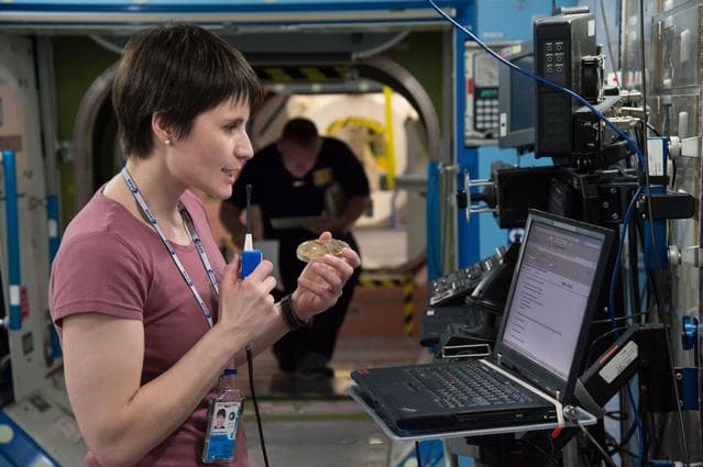 NASA image: jsc2013e031278