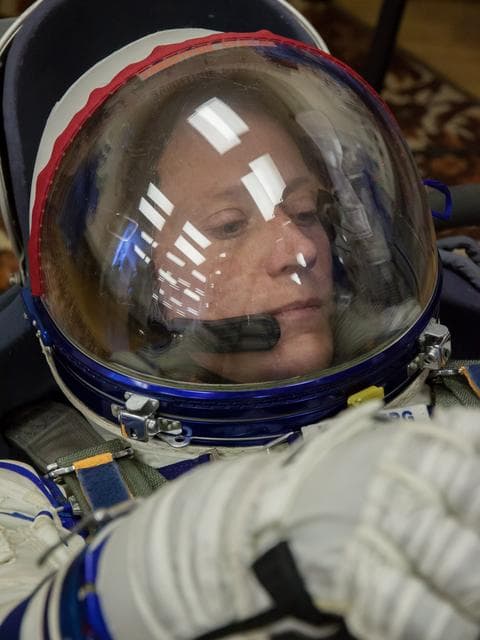 NASA image: jsc2013e033632