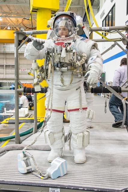 NASA image: jsc2013e048239