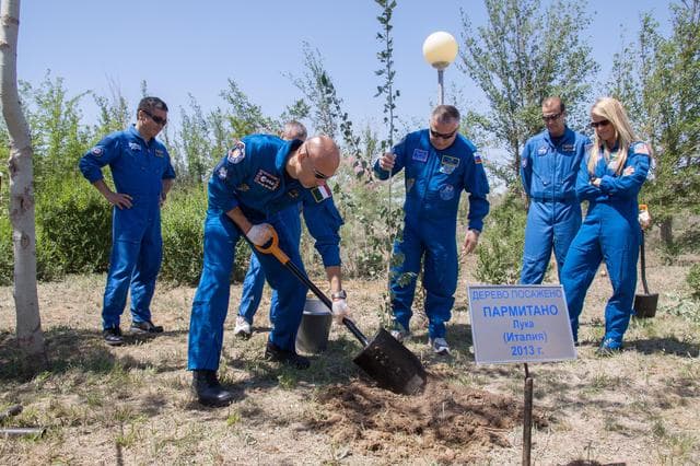 NASA image: jsc2013e048270