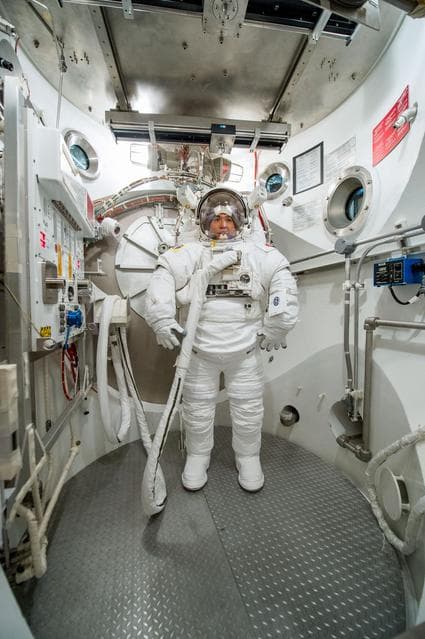 NASA image: jsc2013e063466