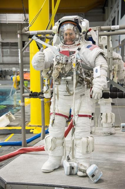 NASA image: jsc2013e074378