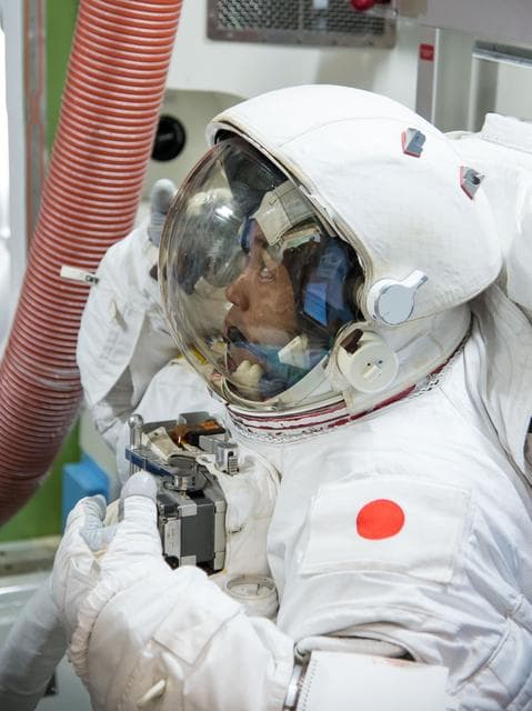 NASA image: jsc2013e077000
