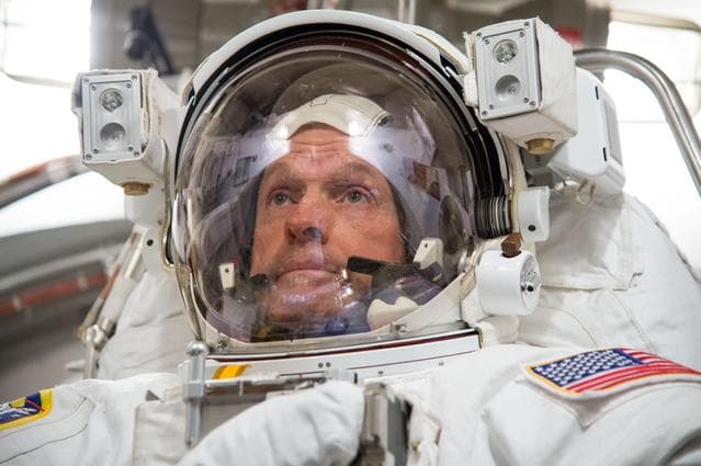 NASA image: jsc2013e090886