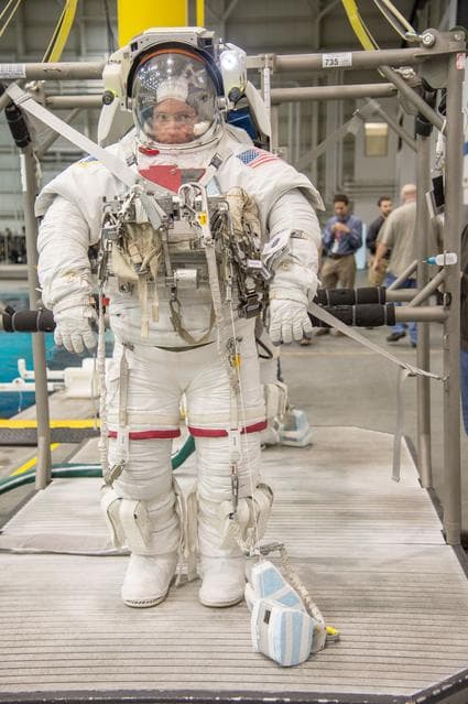 NASA image: jsc2013e091179