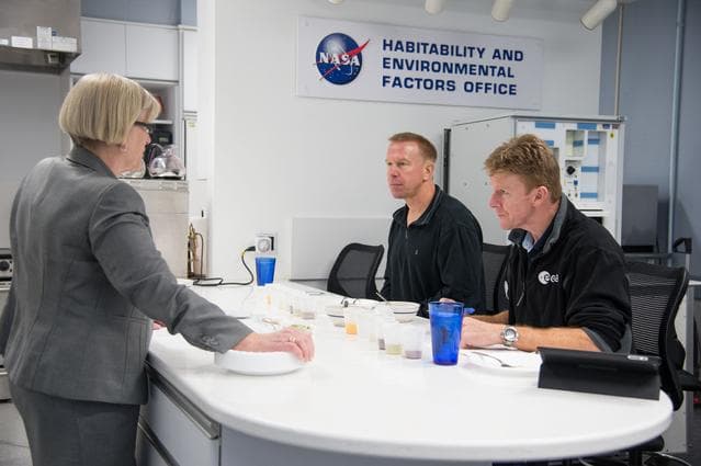 NASA image: jsc2013e099846