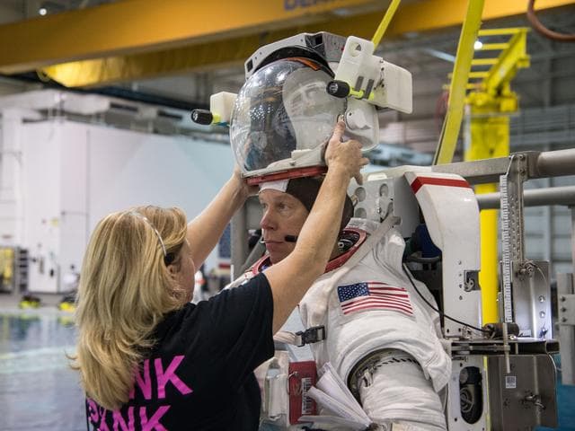 NASA image: jsc2013e099946