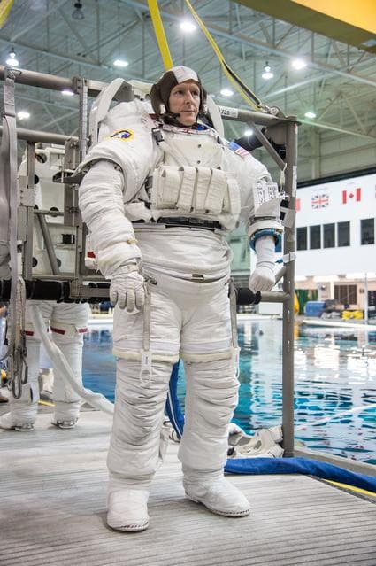 NASA image: jsc2013e099948