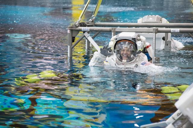 NASA image: ASCAN Astronauts during ISS EVA Ops 1 Training