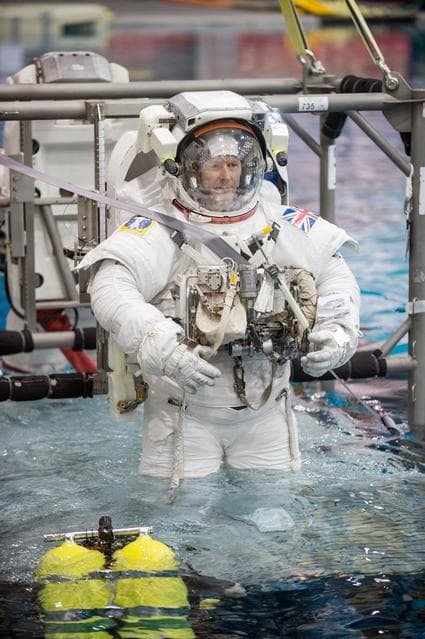 NASA image: jsc2014e080289