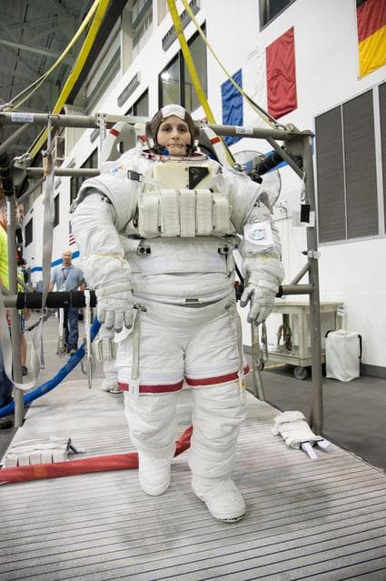 NASA image: jsc2014e080665