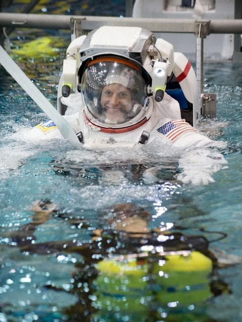 NASA image: jsc2014e088194