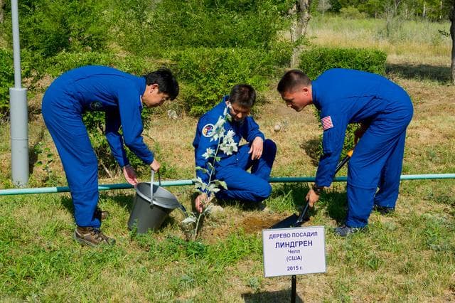 NASA image: 3850:..At the Cosmonaut Hotel crew quarters in Baikonur, Kazakhstan, Expedition 44 prime crewmember Kjell Lindgren of NASA (right) plants a tree in his name in a traditional pre-launch ceremony July 15. Assisting are crewmates Kimiya Yui of the Japan Aerospace Exploration Agency (left) and Oleg Kononenko of the Russian Federal Space Agency (Roscosmos, center), Yui, Kononenko and Lindgren will launch July 23, Kazakh time on the Soyuz TMA-17M spacecraft from the Baikonur Cosmodrome for a five-month mission on the International Space Station...Credit: Gagarin Cosmonaut Training Center.
