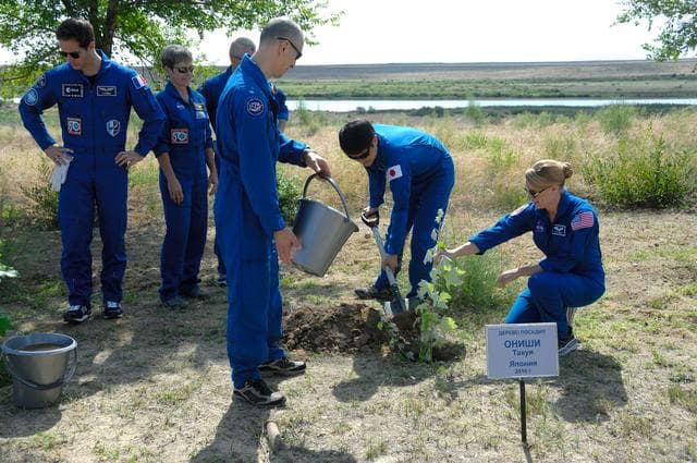 NASA image: At the Cosmonaut Hotel in Baikonur, Kazakhstan, Expedition 48-49 crewmember Takuya Onishi of the Japan Aerospace Exploration Agency (second from the right) helps to plant a tree in his name in traditional pre-launch activities June 30 with the assistance of prime crewmates Kate Rubins of NASA (far right) and Anatoly Ivanishin of Roscosmos (left with water bucket). Looking on are backup crewmembers Thomas Pesquet of the European Space Agency (standing, left), Peggy Whitson of NASA (standing, center) and Oleg Novitskiy (partially obscured, right). Rubins, Ivanishin and Onishi will launch July 7, Baikonur time, on the Soyuz MS-01 spacecraft for a planned four-month mission on the International Space Station...NASA/Alexander Vysotsky.