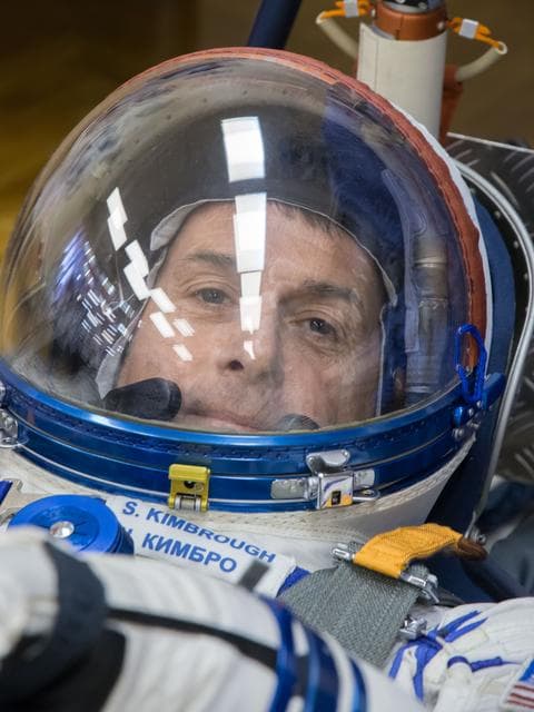 NASA image: jsc2016e109765