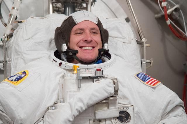 NASA image: jsc2016e183968