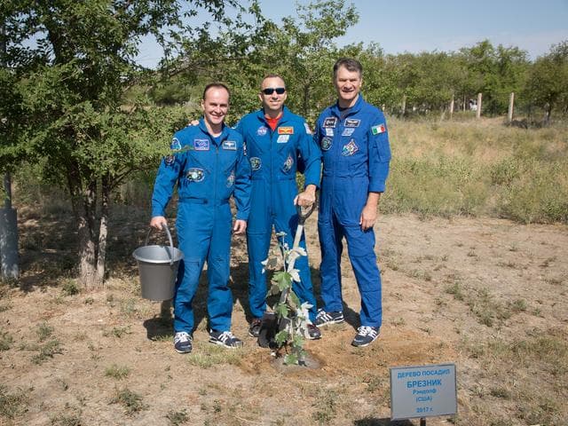 NASA image: jsc2017e101933