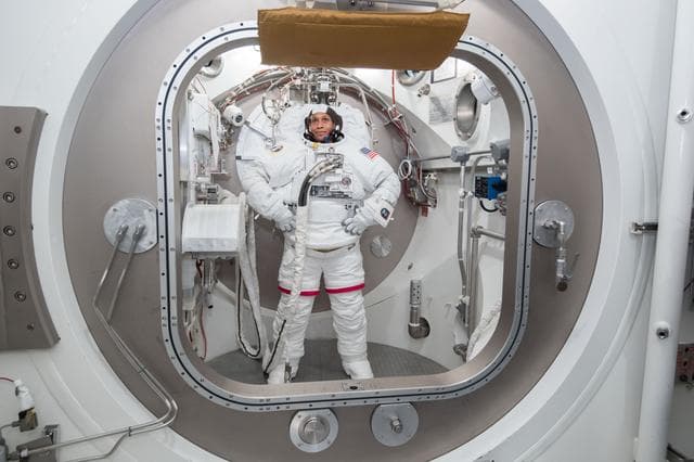 NASA image: STB-ST-1103 - SSATA Crew Training INC 56 - Jeanette Epps