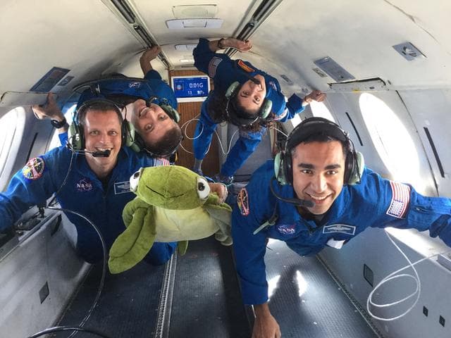 NASA image: 2017 ASCAN Reduced Gravity Flight aboard Canadian Space Agency's Dassault Falcon 20 Jet