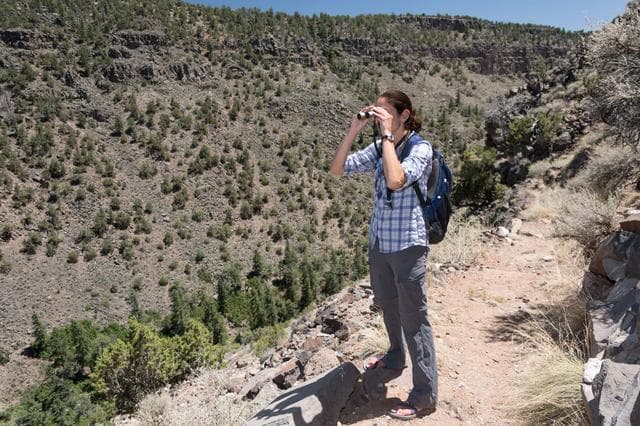 NASA image: jsc2018e060316