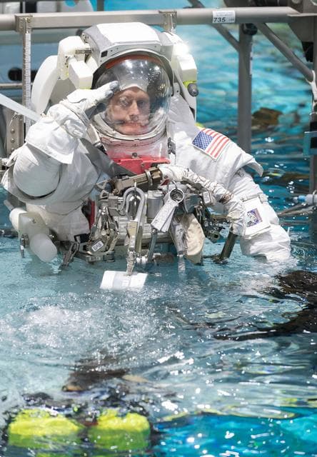 NASA image: Commercial Crew Program Astronaut Training - Mike Fincke 
