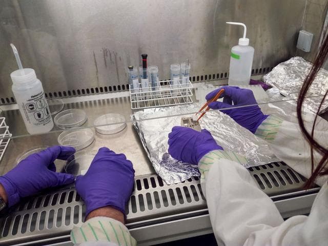 NASA image: Integrating a bioreactor