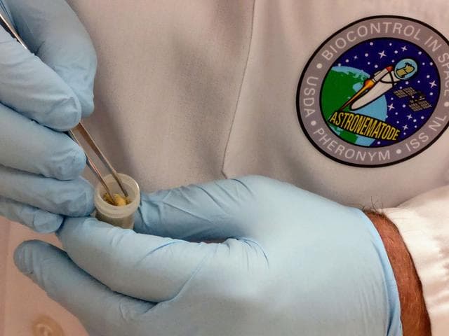 NASA image: jsc2019e062137