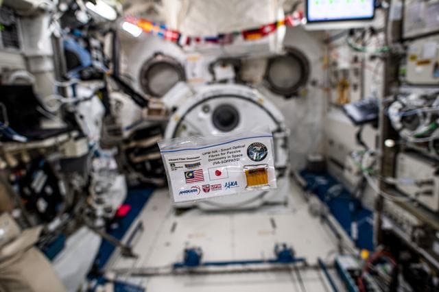 NASA image: Fiber Dosimeter