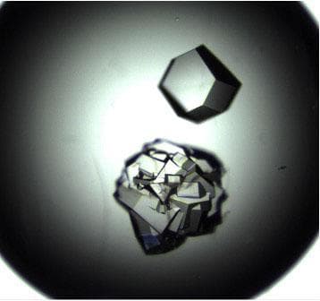 NASA image: jsc2021e010285