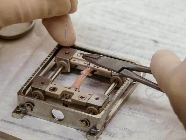 NASA image: Suture In Space