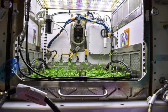 NASA image: Plant Habitat-03