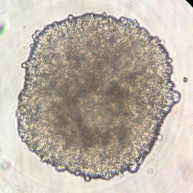 NASA image: jsc2022e083018