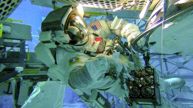 NASA image: Preflight Imagery for the ISS External Microorganisms Experiment