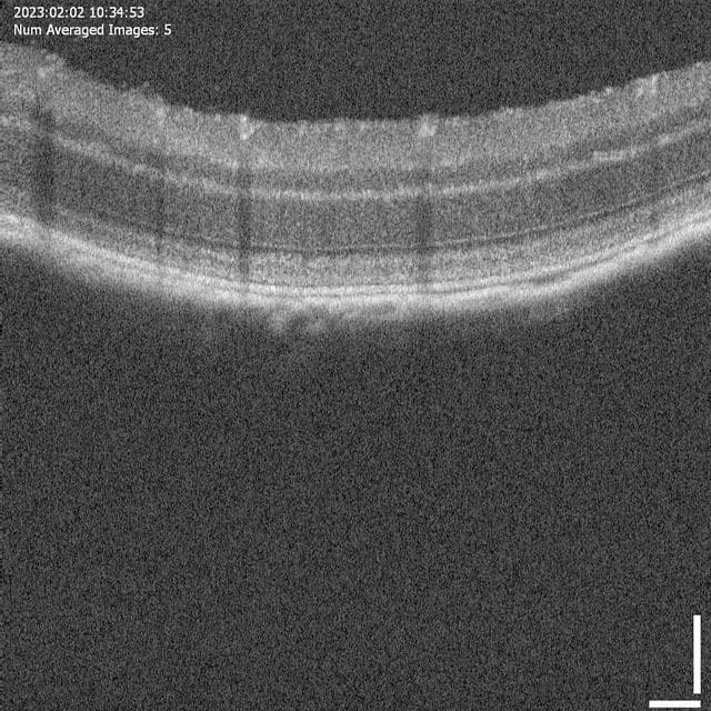 NASA image: jsc2023e054753