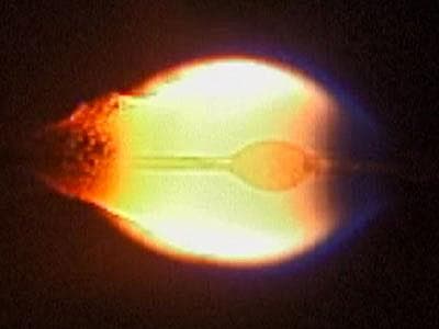 NASA image: jsc2024e016238