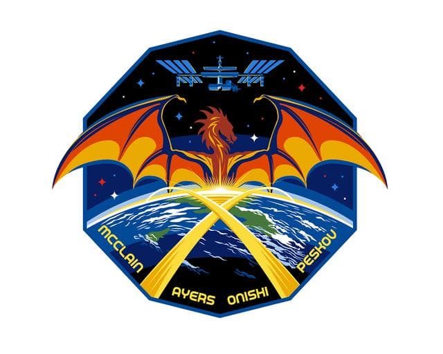 NASA image: SpX Crew 10 Patch - Final Pantone - v4.1 Outlined-CD-081224