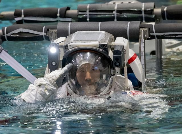 NASA image: jsc2024e066579