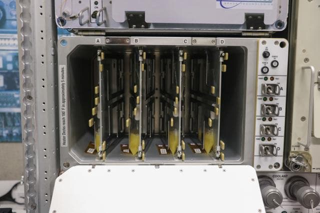 NASA image: jsc2025e007246