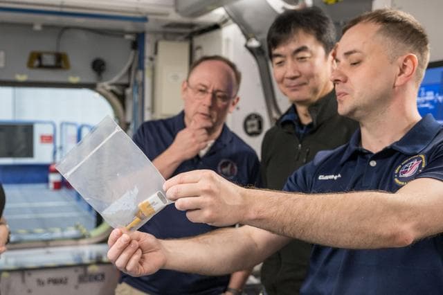 NASA image: NASA’s SpaceX Crew-11 members train for their International Space Station mission