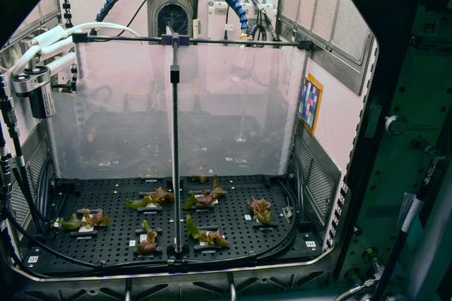 NASA image: jsc2025e047408