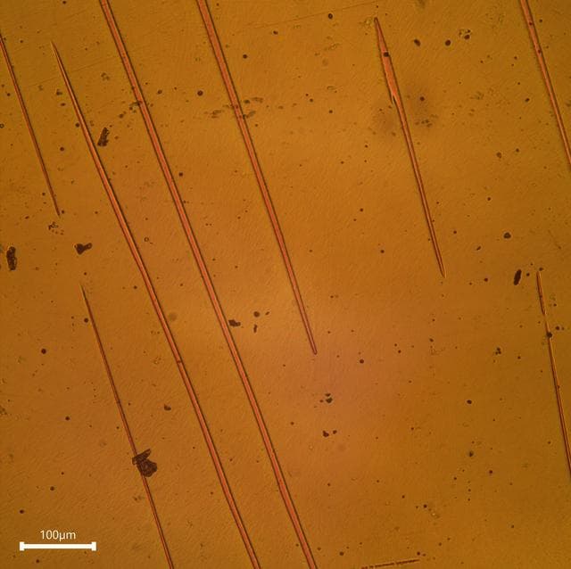 NASA image: SUBSA-InSPA-SSCug