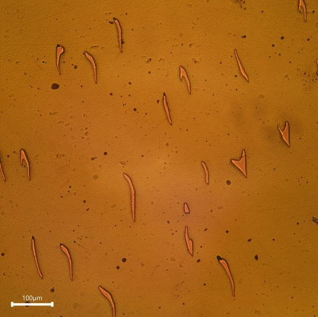 NASA image: SUBSA-InSPA-SSCug