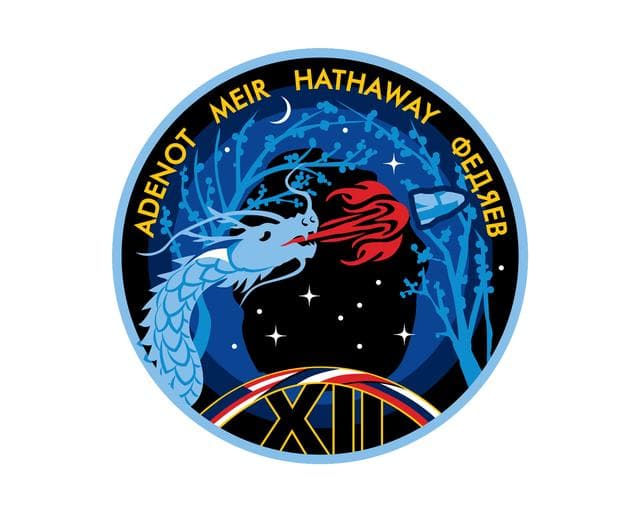 NASA image: The official insignia of NASA's SpaceX Crew-12 mission to the International Space Station