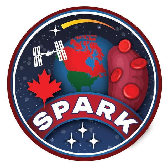 NASA image: ISS_Spark Logo