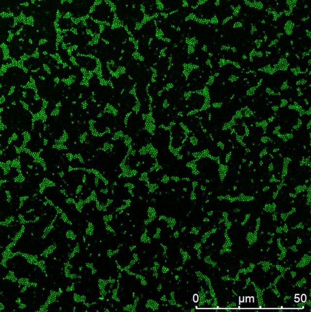 NASA image: jsc2026e034370